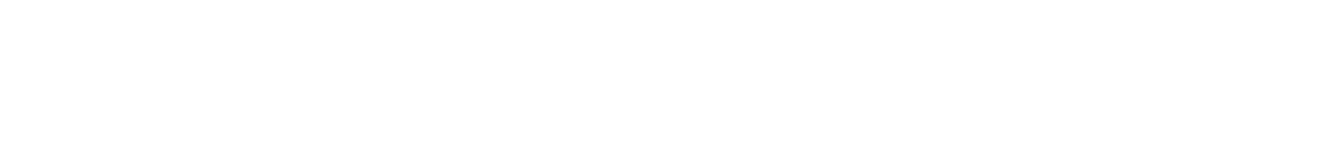 OUR SERVICE